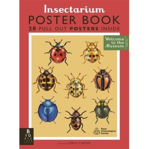 Insectarium Poster Book | Dave Goulson (ISBN: 9781835871843)