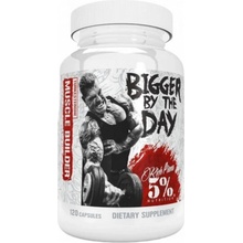 Rich Piana 5% Nutrition Bigger By The Day 120 kapsúl