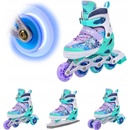 meteor blueberry 4v1