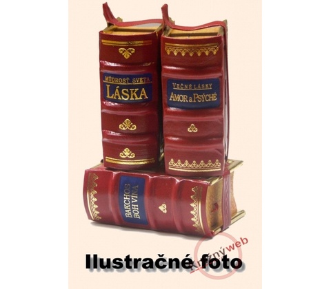 Múdrosť sveta - Úspech