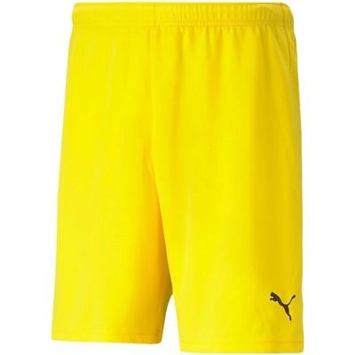 Puma teamRISE Cyber