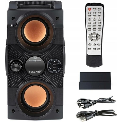 Feegar Dance 4000mah Radio USB SD AUX jack 3 5