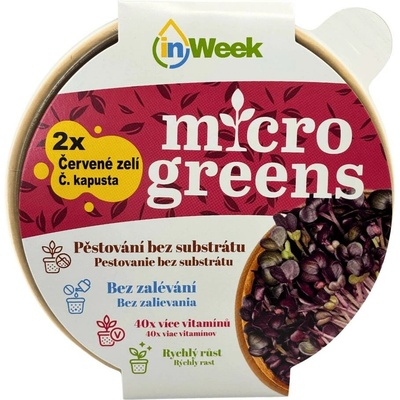 Červené zelí microgreens semínka + dárek k nákupu