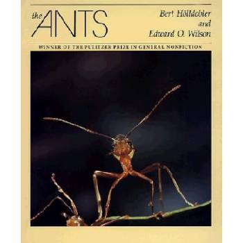 Ants | Bert Holldobler, Bert Hvlldobler, Bert Hlldobler