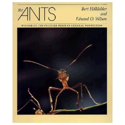 Ants