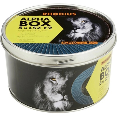 Rhodius Vějířovitý brusný kotouč 115 x 22.23 mm 209312 5 ks