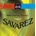 Savarez 540CRJ