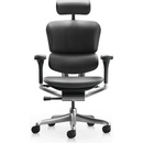 Antares Ergohuman Elite 2 LE