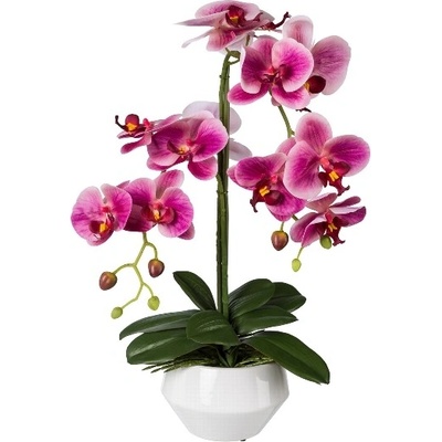 Orchidej růžová v květináči, 52cm