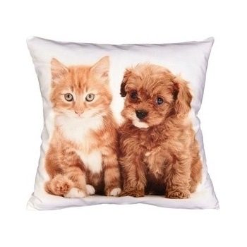 Frobyt Mačiatko a šteniatko 40 x 40 cm