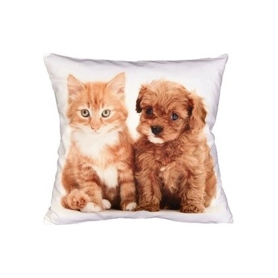 Frobyt Mačiatko a šteniatko 40 x 40 cm