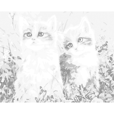 ZUTY Bodkovanie - MAČIATKA A LÚČNE KVETY Rámovanie: vypnuté plátno na rám, Rozmer: 40x50 cm