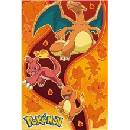 Pokémon - Fire Type plagát