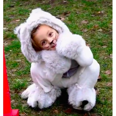 КАРНАВАЛ КОСТЮМ КОТЕ (787720230560)