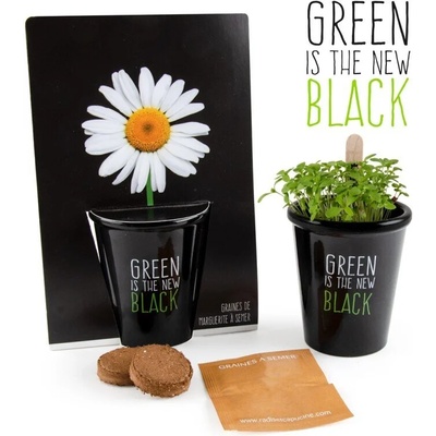 Radis et Capucine Черна саксия Маргарита (034145)