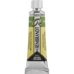 Rembrandt Professional Акварелна боя Chromium Oxide Green 10 ml 1 бр (05016680)