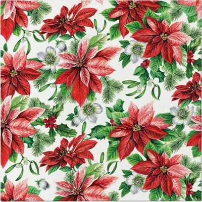 PAW AIRLAID Ubrousky 40x40cm AAND231300