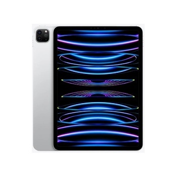 Apple iPad Pro 11 2022 1TB MNXL3