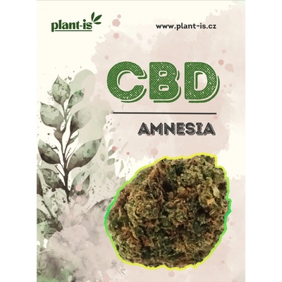 Plant-is Amnesia květy CBD 17% THC 0,5% 1g – Hledejceny.cz