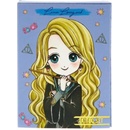 Tetování Harry Potter