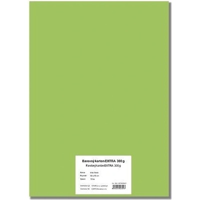 STEPA Barevný karton EXTRA 300g 50x70cm - světle zelený 10listů