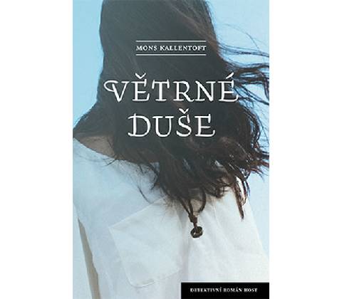 Větrné duše