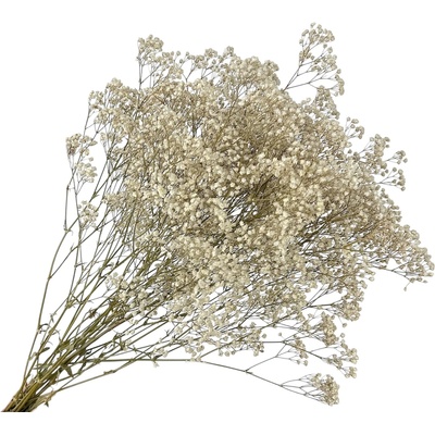 Stabilizovaná Gypsophila - Nevestin závoj 80g - nefarbený biely