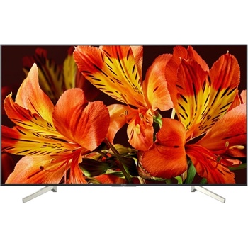 Sony KD-49XF8596BAEP