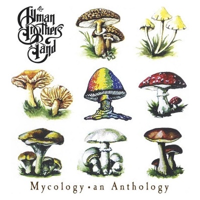 Allman Brothers Band CD