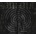 Filosofem - Burzum CD