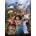 Educa - Puzzle Encanto 500 - 500 piese