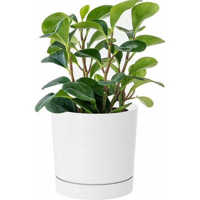 Prosperplast Květináč TUBO P 39cm bílý