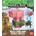 Minecraft Pig