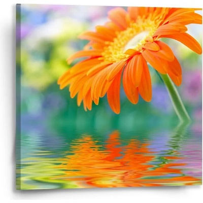 Sablio Obraz Oranžová gerbera - 50x50 cm