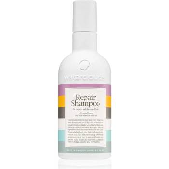 Image 1 of Waterclouds Repair Shampoo шампоан-грижа 250ml