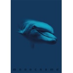 Pigna Monocromo Blue A4 с телбод 38 страници карирана тетрадка P1111-1855 (P1111-1855)
