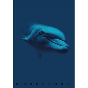 Pigna Monocromo Blue A4 с телбод 38 страници карирана тетрадка P1111-1855 (P1111-1855)
