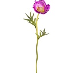 Bizzotto ИЗКУСТВЕНО ЦВЕТЕ anemone 30cm ЛИЛАВО (0171757)
