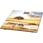 Muhler MSC-3077 Savana
