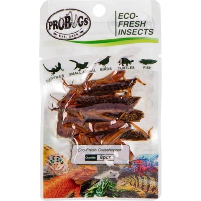 ProBugs Eco-Fresh Saranče stěhovavá 8 ks – Zbozi.Blesk.cz