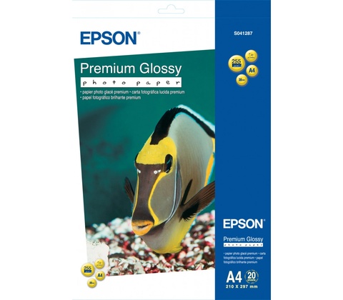 Epson S041287