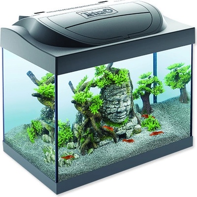 Tetra Starter Line LED Crayfish akvarijní set 30 l – Zboží Dáma