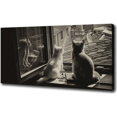 Foto obraz na plátne Mačky pri okne 100x50 cm