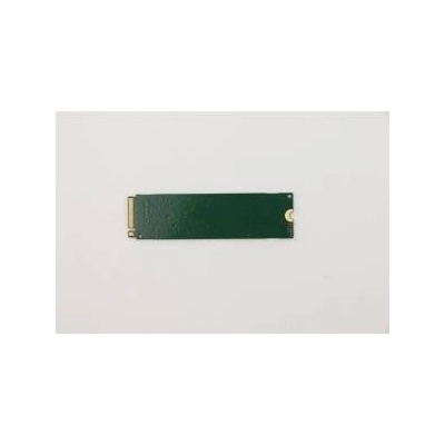 Lenovo 256GB M.2 (00UP734)