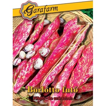 Fazuľa Borlotto nano - kríčková