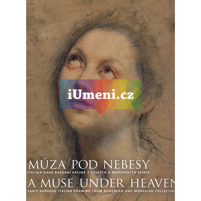 Múza pod nebesy
