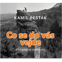 Co se do vás vejde - Kamil Pešťák