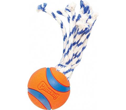 Chuckit! Ultra Toss Medium