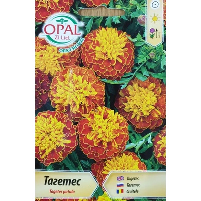 Opal Zi Тагетес Tagetes patula