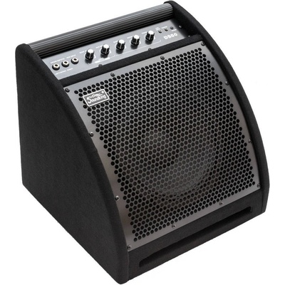 Soundking DS50